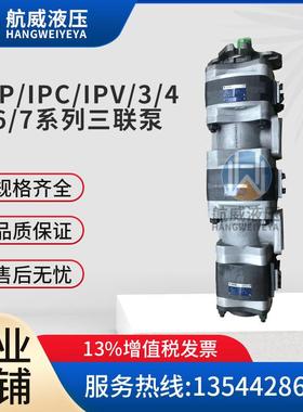 IV69804IPVP4PIPVAP4-20月牙块片半月牙套组，轴向套组配油盘
