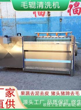 大产量高速卜花清洗机毛地瓜去皮萝清洗刷机红薯毛IOE辊清洗设生