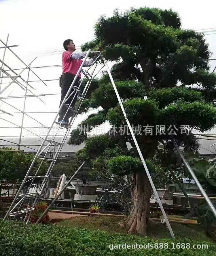 梯果园铝合金轻便安稳农艺修剪梯