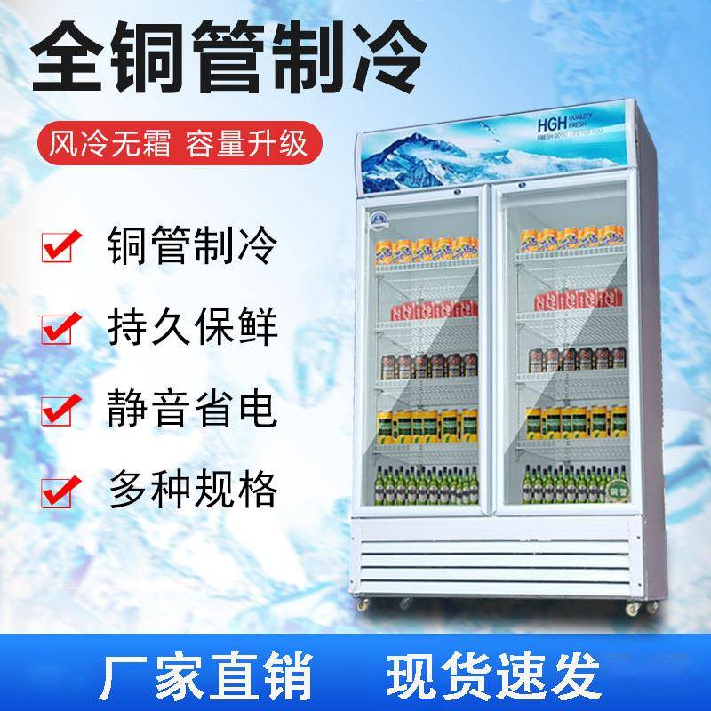 展尚厨冷藏保示柜立式饮市料柜鲜NDZ柜商用冰柜单双门超冰箱啤酒