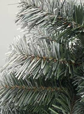 工厂热销圣诞节摆件装饰品1.5CM47413~白1.8C平头喷绿色圣M树诞PV