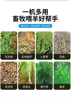 铡草机家用养殖羊牛干两用玉米VMF秸秆粉碎打湿碎草切铡草揉丝一