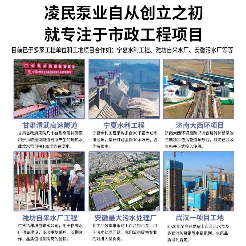 凌民不钢深井高扬程用灌溉潜农水泵锈220EBZv家用单相泵井用抽水