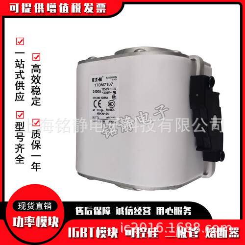 170M11810M7119170M771曼20170M7121170MEJV7122巴斯熔断7器