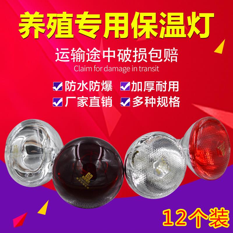 暖猪场保温灯小鸡保暖养殖场专用仔猪育烤灯热发养鸡加热雏取HVT