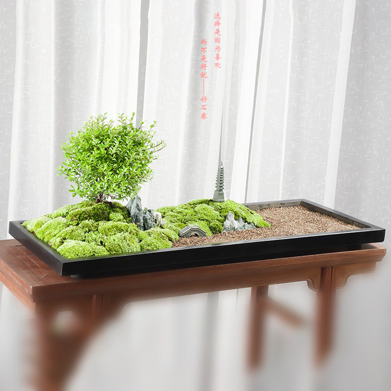 乌金石植物盆景苔藓桌面办公室客厅新中式摆件创意大号阳台盆景盆