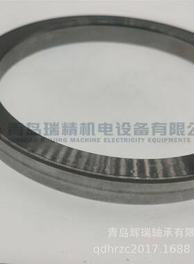 1GMN机械密封L1BZG40X170X5进口油封140mmX170mmX15mm