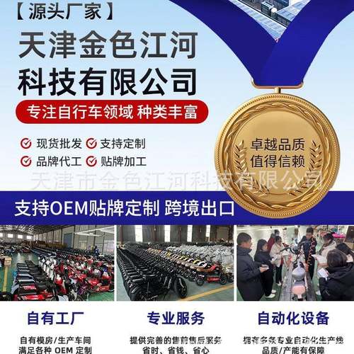 新国标电动车家直销电瓶轮车350w500w800w伏电动自高质量厂行车两