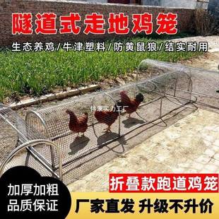 走地鸡笼养鸡院隧道跑笼笼农场户外QPV鸡可折叠折叠式溜庭达养殖