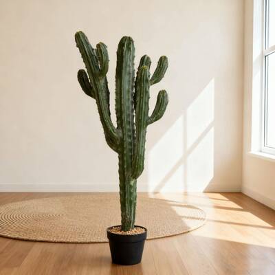 仙景人柱绿热植盆人栽装饰沙生带龙神柱仙沙漠仙球植物造假仙人掌