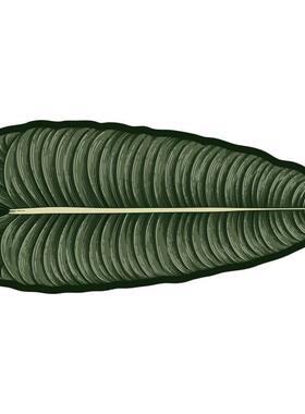 暖藻 硅绿色叶子ns家用卫生间防滑地垫软藻泥长吸i水垫FM0991A浴