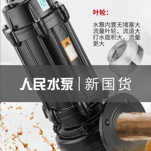人民国上标污水海泵3QBN80V三相潜家水排污泵单相用220V抽水排污