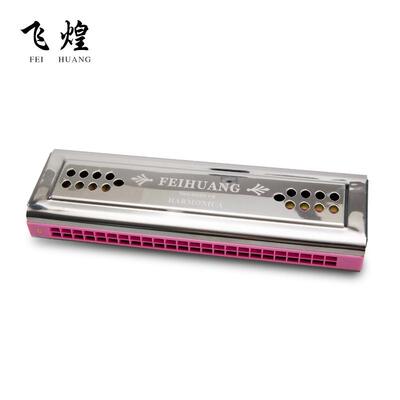 飞煌进口音2孔复C/簧G4调WPX口音琴成人儿童初学演奏练习口琴