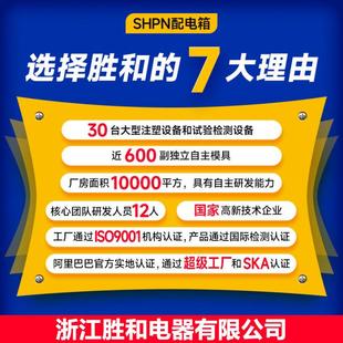 SH-12PN外防水塑料澳标空照户充电桩气开关配电箱电源箱ISH12PN无