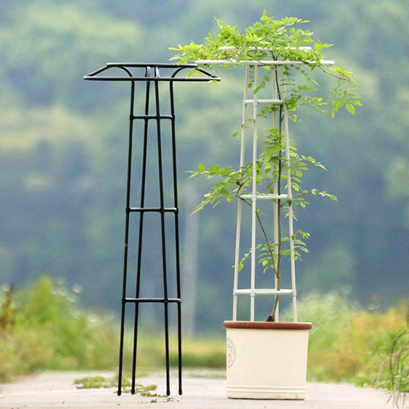 新伞型1花4藤ZTOmm管径架爬架户外花卉款攀爬架花支架月季铁线莲