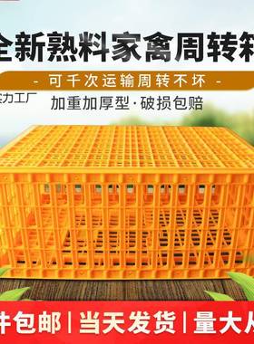 鸡笼鹅转箱家用大号防加厚KVS摔养殖运输塑周料鸡鸭兔笼