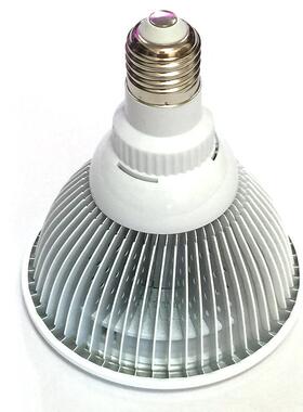 厂家直育销E27灯头2苗4EGBW鳍片LE果D植物灯蔬多肉植物生长补光灯