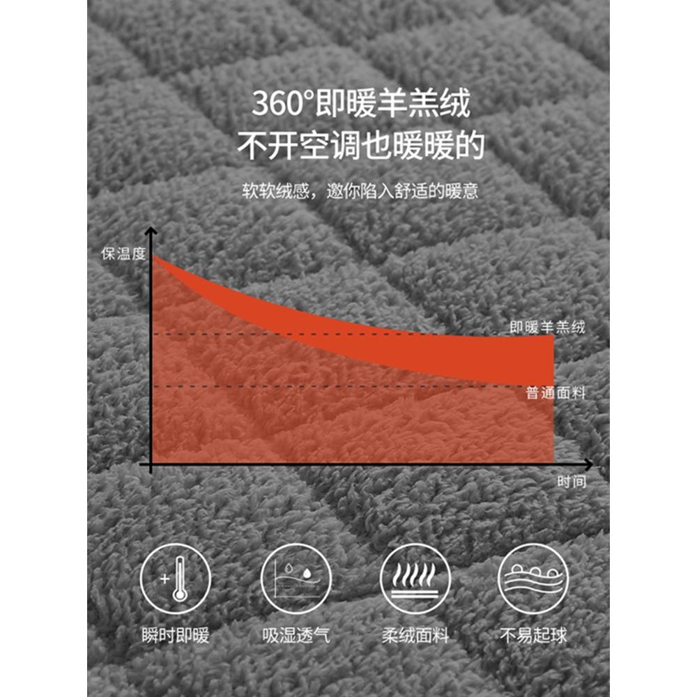 床垫软垫米羊羔绒家用榻宿THQ榻炕垫生舍单人床褥保暖冬学季垫被
