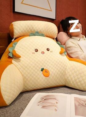 新靠款可拆洗腰垫特四季款床头靠垫懒人厂家直供孕妇半大躺发抱枕