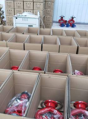 水防炮P消S30-50消防水炮消防消防炮PS30-50设备灭火器材
