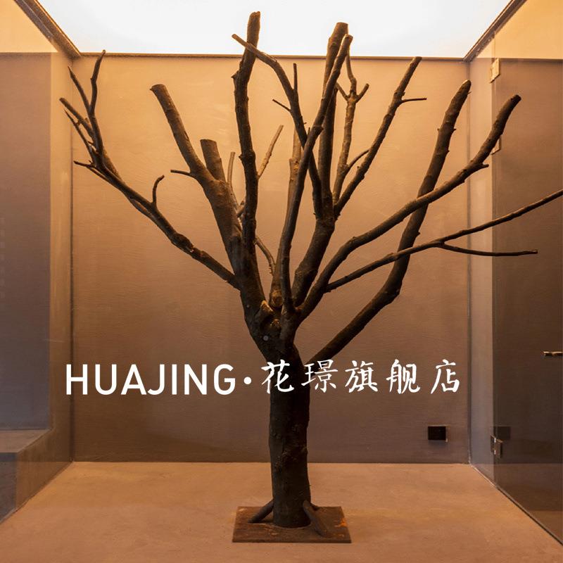造乾树枝愿造型枯树型真枯树大许树型舞台道具实木枯树枝橱窗装饰