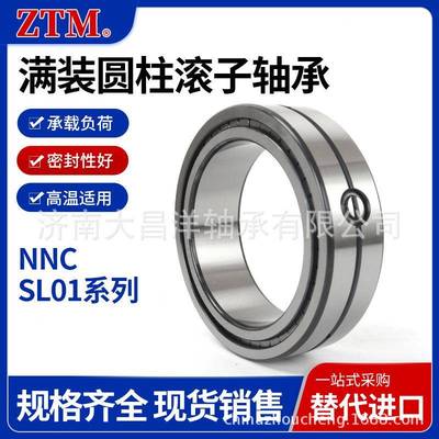 SL04L5007PPSL045008PPS0450柱09PP双列满装圆滚子轴承RCM带密封