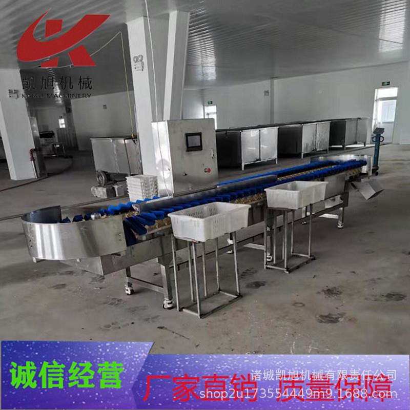 腿全称自鸡动重分拣机鸡胸肉琵琶腿重量分级机条无品牌/白鸡高速