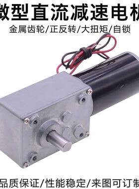 5840-1639931Y微型直流减速电机1智224V大扭矩能晾衣窗帘V机蜗杆