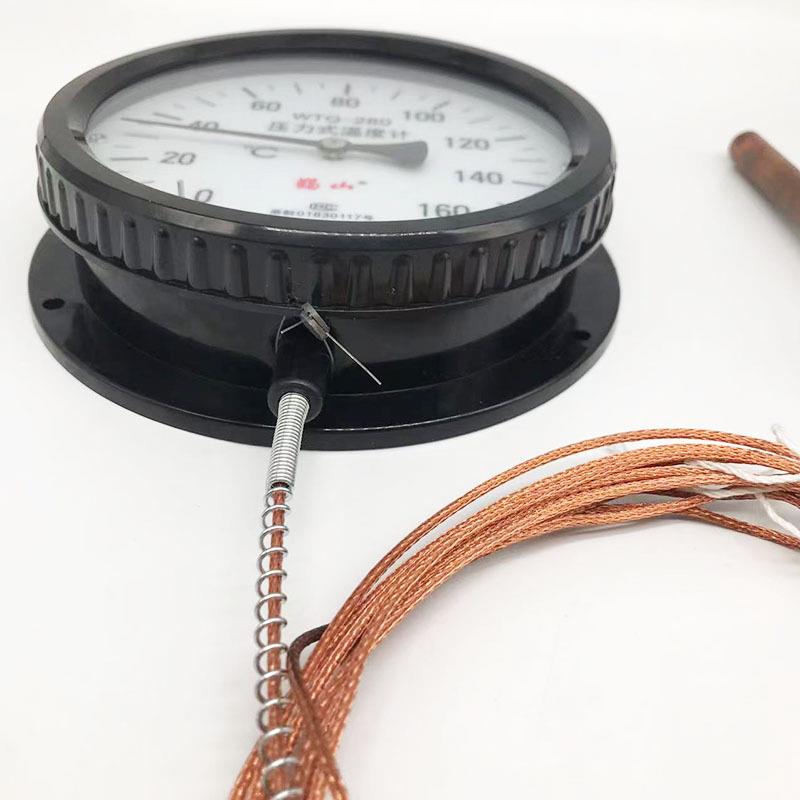 WZ/WTQ-2WTZ-28080温压力式度温计压力式度计表T液体温度计