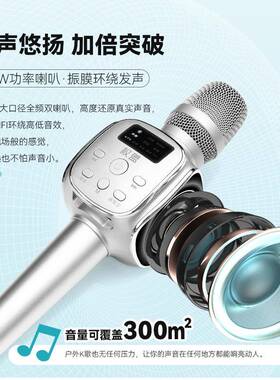 克权盟响声麦话筒音响53178一器体麦风全民歌神宝无线