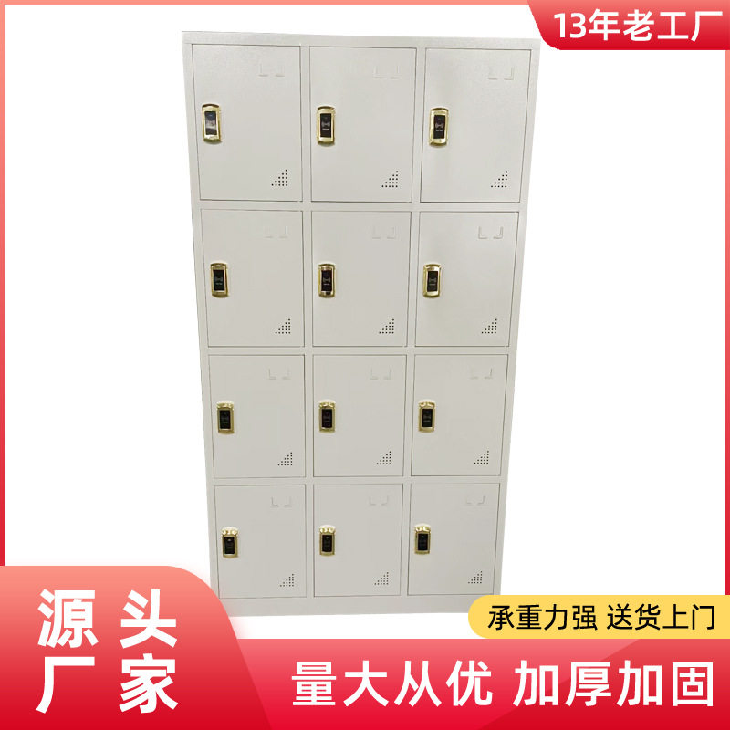 厂家供应智能电子感应储物柜12门刷卡柜工厂宿舍文件柜智能柜带锁