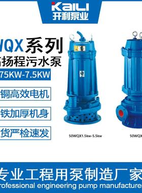 2寸高扬程用小型污水家泵工程高XNM楼用泵潜0水排污泵螺纹2口20v/