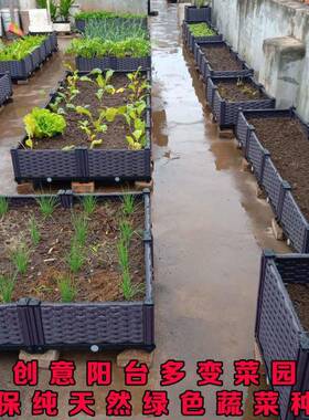 M天台种园种植箱菜庭院加楼深OLL阳台菜户外顶花盆种菜盆露台花L