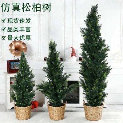 仿真松柏树圣诞树摆件 假松树绿植盆栽 商场橱窗节日装饰造景