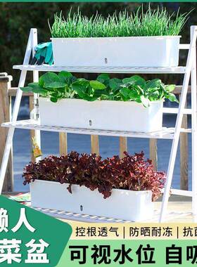器阳台种菜盆神室内吸水长方形懒人长uPGlg6KZ条花家庭盆家用种植