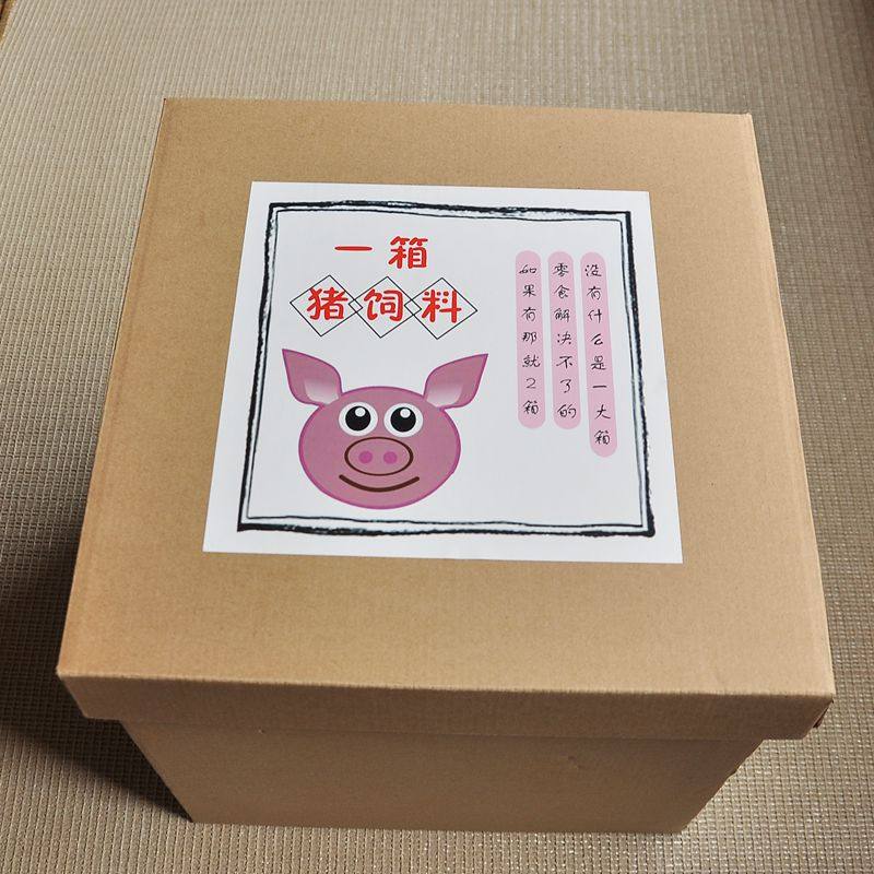 一箱猪饲料恶搞礼物盒男女朋友六一儿童节零食礼品盒卡通盒空盒