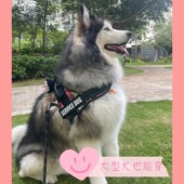 K9狗狗胸背带定制外出防爆冲背心式 小中大型犬金毛牵引绳防挣脱