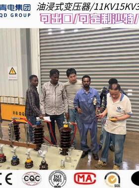 青电变压器厂S13--4S系列S100500630KVA油浸2式变压、器S20MS2系