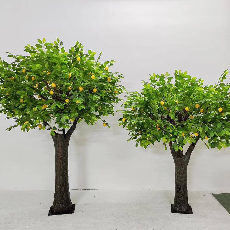 真绿物植柠檬树家居室内装饰新盆栽景观清466落地植摆件柠檬仿树