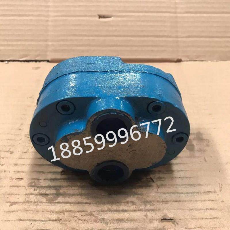 常州巨龙油2泵CBBcb-b2.52.5~-CB-B200润滑泵CB-B25-B0微型齿轮泵