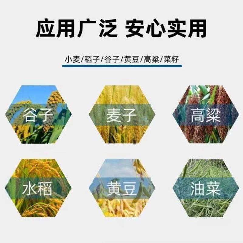 油升级多功能脱机农用小麦高选粱菜籽黄豆稻谷粒684机器家用风脱