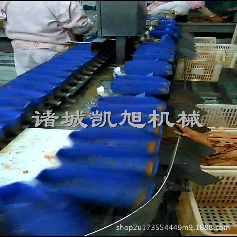 马蹄拣自连动称重分机罗汉QCQ果全自分级机动小黄鱼料盒式续分选,鲜花速递/花卉仿真/绿植园艺,其它园艺用品,淘宝优惠券,粉丝福利购,淘宝优惠卷