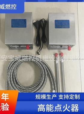宝威G燃控BWD器-12C盘LCY管式加热炉高能电子点火耐高温抗结焦