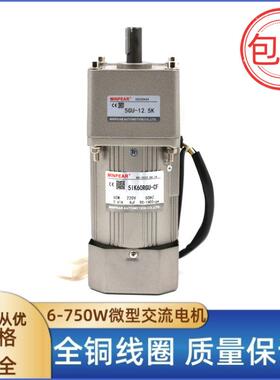 40W小型齿轮减速电机交流220V调速马达5I40RGN-C+5GN10