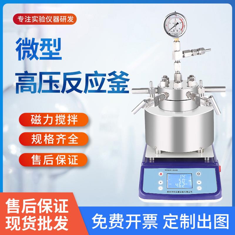 100ML小型高温高压反应釜不锈钢反应釜微型磁力搅拌高压反应釜