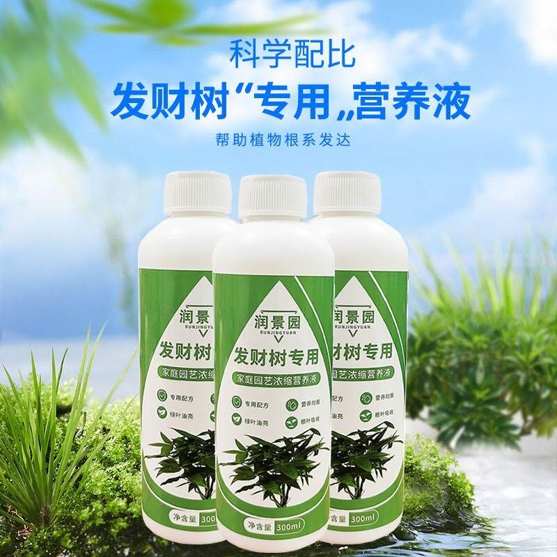 润景园发财树专用家庭园艺浓缩营养液促进生长绿叶免稀释液体肥料,鲜花速递/花卉仿真/绿植园艺,家庭园艺肥料,淘宝优惠券,粉丝福利购,淘宝优惠卷
