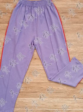 天资校服 潮州潮安沙溪宝山中学新款紫色中学生夏服秋冬加绒加棉