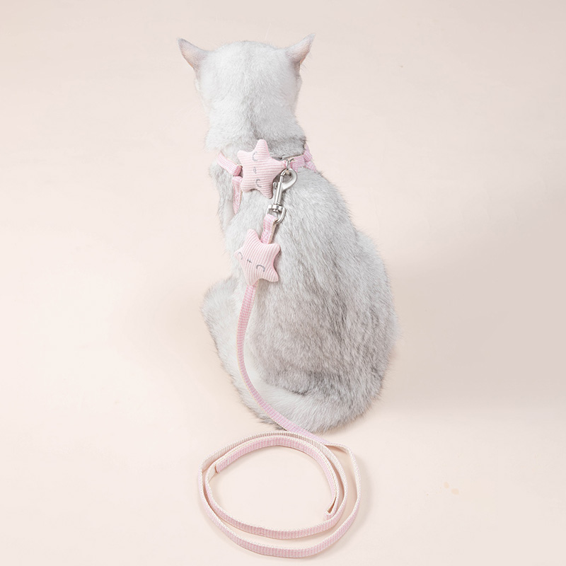 猫咪牵引绳防挣脱遛猫绳溜猫链子宠物狗狗胸背带可调节外出专用