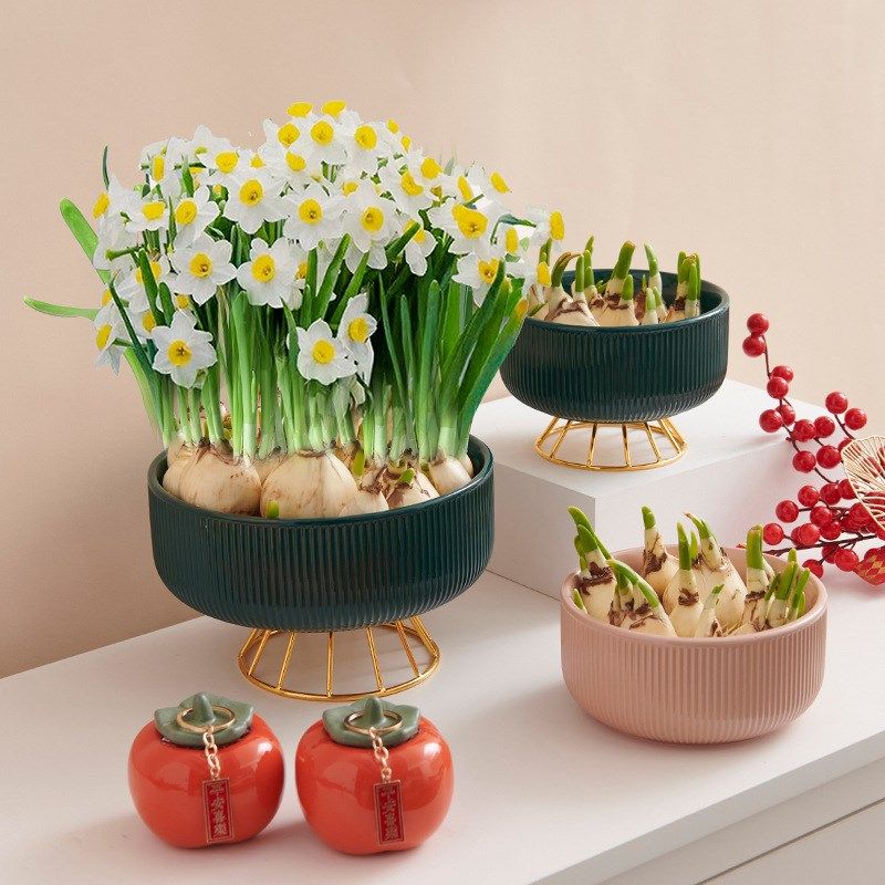 水仙花盆新年水养种球专用水培器皿大口径轻奢水仙盆多肉陶瓷花盆,鲜花速递/花卉仿真/绿植园艺,花盆,淘宝优惠券,粉丝福利购,淘宝优惠卷