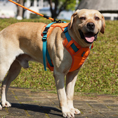 背心式 狗狗牵引绳中大型犬拉布拉多金毛柯基胸背带可调节遛狗绳子